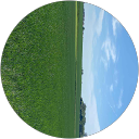 Aanchal Aggarwal profile picture