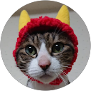 大熊雅美 profile picture