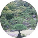 かずきち profile picture