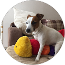 jacks team profile picture