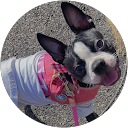 Maki “palu&i 'll” Mikami profile picture