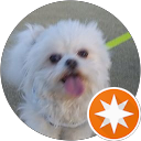 MASA “MASA” KUMA profile picture