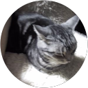 5 show- profile picture