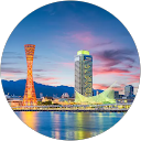 RYOICHI profile picture