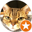 ねこじ profile picture