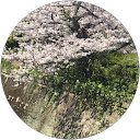 pippi age profile picture