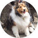 Emi H profile picture