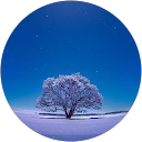 tender j profile picture