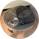 マサ profile picture