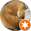 柴色解析室 profile picture