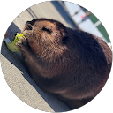 ゆうき profile picture