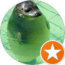 Taishi Ishiguro profile picture