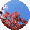 mm mm profile picture