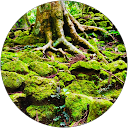 はまー profile picture