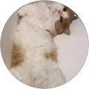 まい profile picture