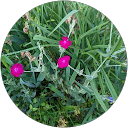 太田尚文 profile picture