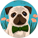 コロころ profile picture