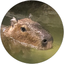 tacohime profile picture