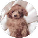 ああ profile picture