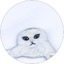 love sand profile picture