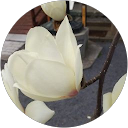 古宮眞由美 profile picture