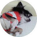 ルパン050 profile picture