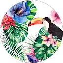 Katy profile picture