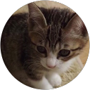 Kumiko K profile picture