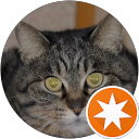 torara profile picture