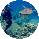 Rika Koogler profile picture