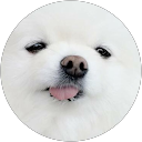 woongjin han profile picture