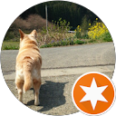 ryo_ yama profile picture