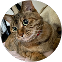 まろ〜ん profile picture