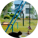 Ma Ha profile picture