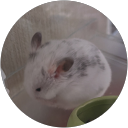 平松真美 profile picture