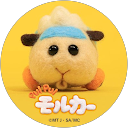 もちこ profile picture