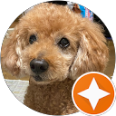 mi__ko yama profile picture