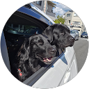 太田浩司 profile picture