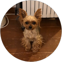 375 375 profile picture