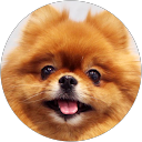 ゆきちゃん profile picture
