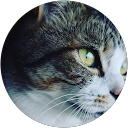 すがものつぼね profile picture