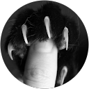 nodontsaythat profile picture