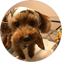 井上佳名子 profile picture