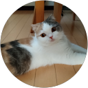 Naoko Oshima profile picture