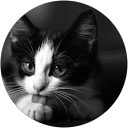 yuki _ profile picture