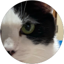 ちょのえ profile picture