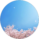 柚葉 profile picture