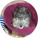 佐野実枝 profile picture