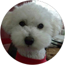 dagu kalin profile picture