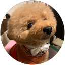 マリンちゃん profile picture